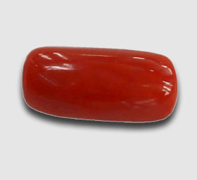 Red-Coral Cylindrical