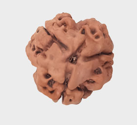 Red-Coral Cylindrical